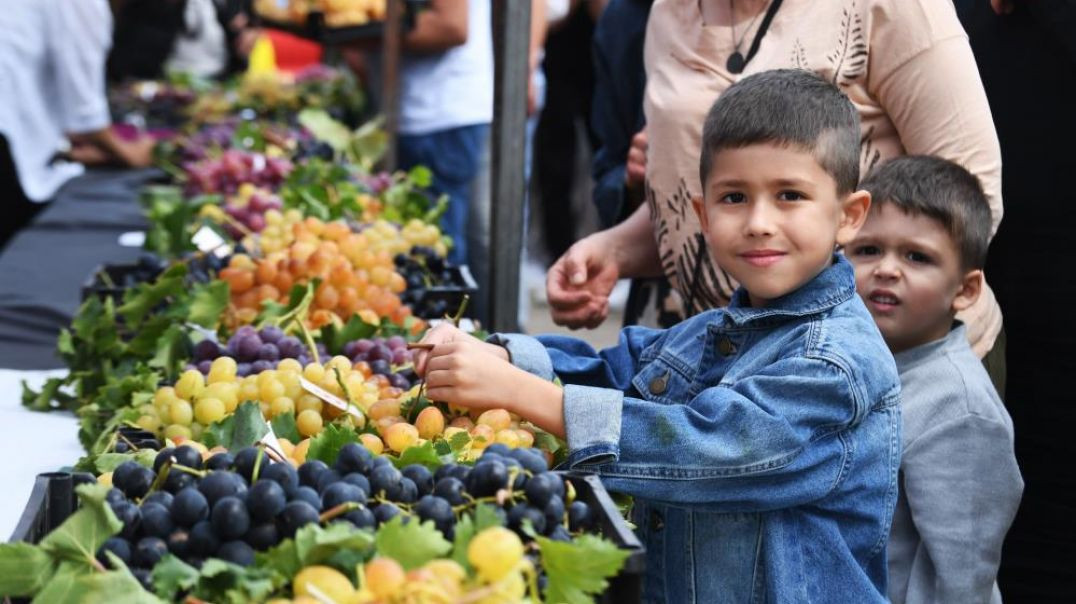 Osmangazi Karabalçık Üzüm Festivali'nde renkli anlar yaşandı