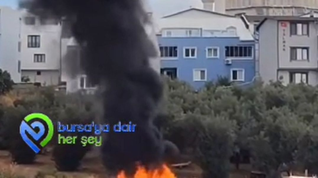 Bursa'da çalılık yangını paniğe neden oldu