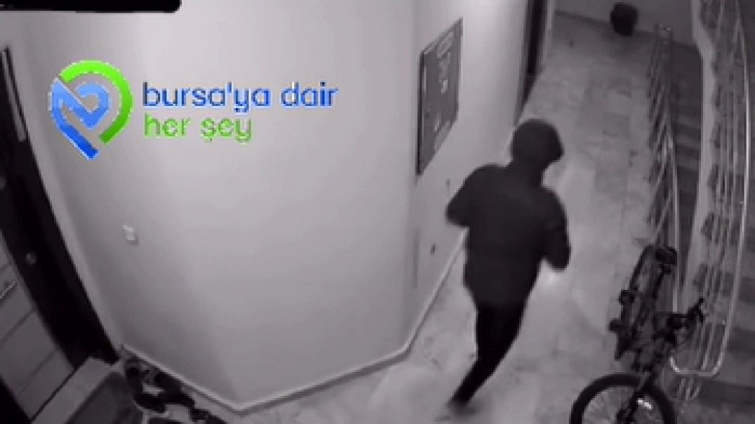 Bursa'da mağazadan seçer gibi ayakkabı beğenip çaldı!