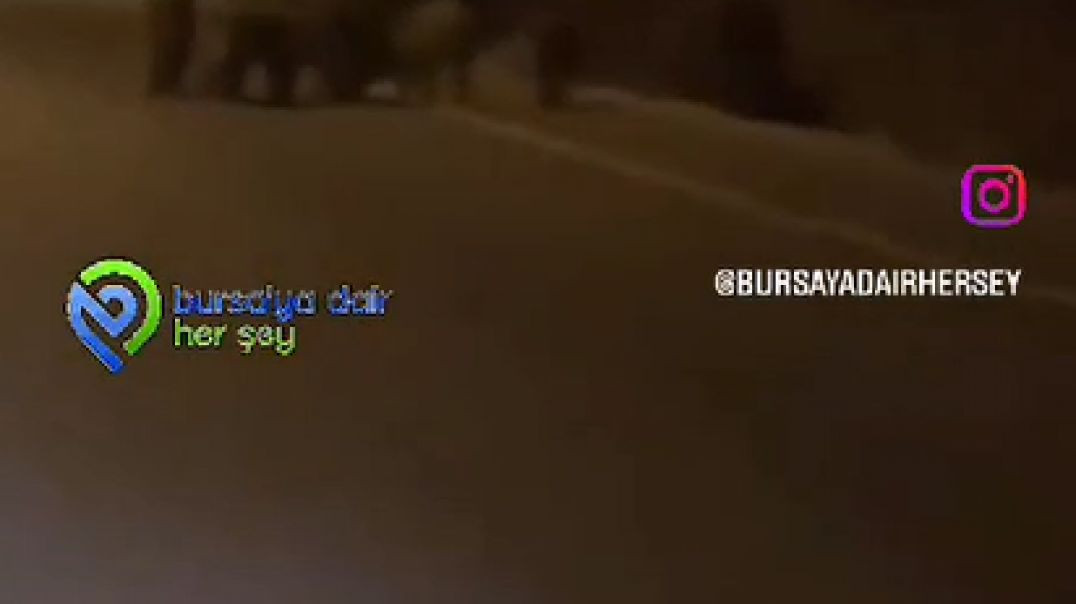 Bursa'da domuz sürüsünü görünce şaşkına dönen sürücü kamerada