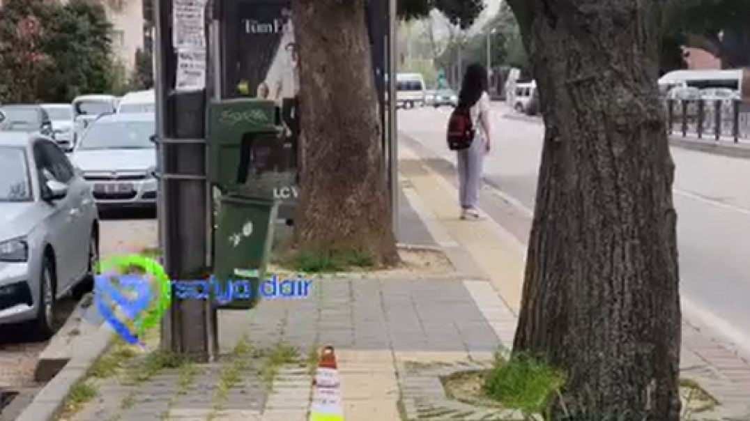 Bursa'da duyarlı vatandaş karınca yuvasını korumak için dubayla işaretledi