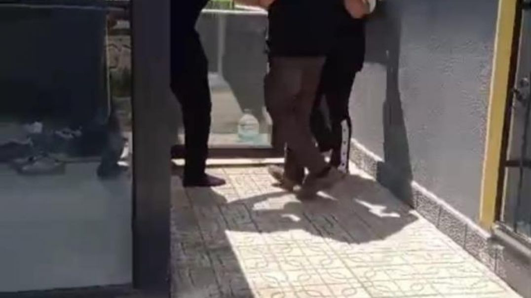 Ankara'da köpek vahşeti: Sahiplendiği yavru köpekleri işkenceyle öldürdü