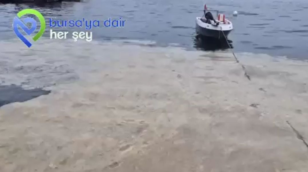 Gemlik'te müsilaj alarmı: Yaz öncesi endişe büyüyor