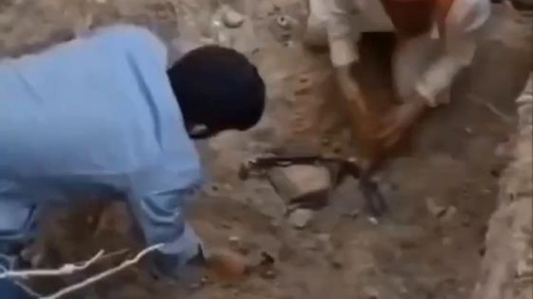 Bursa’da ölen köpekleri mezardan çıkardılar... Yetkililer harekete geçti