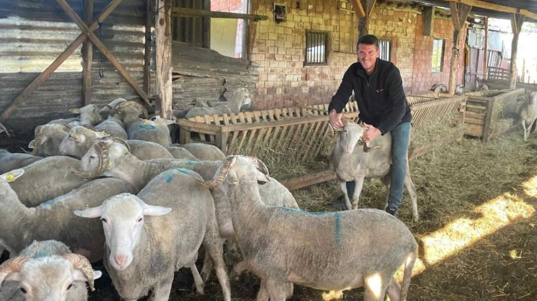 Bursa'da kurbanlıklarını satıp düğün yapacak