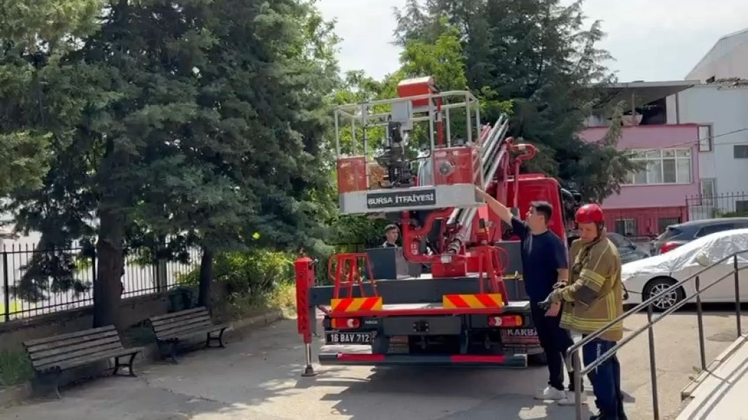 Bursa'da ağaçta mahsur kalan kedilerin imdadına itfaiye yetişti