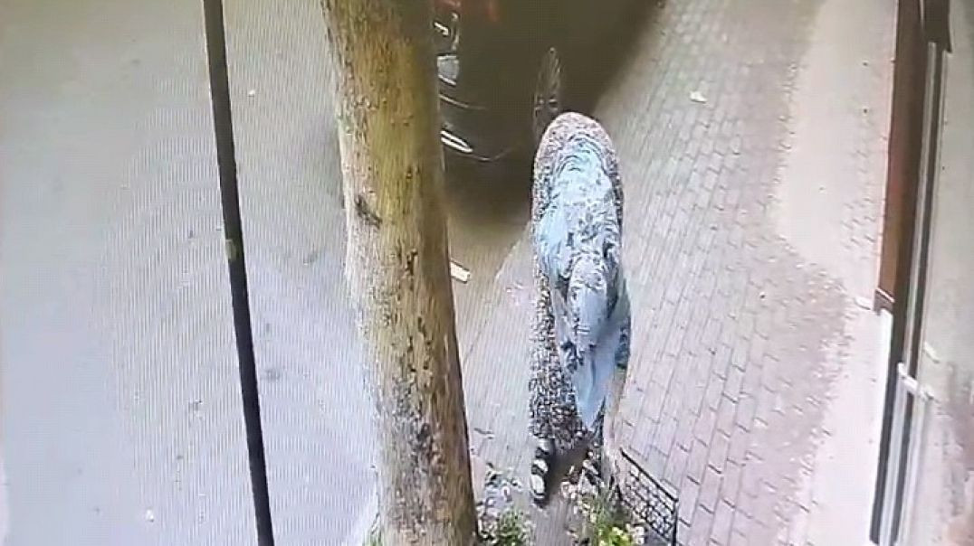 Bursa'da çiçek hırsızlığı kamerada: Kadın şüpheli 10 papatyayı sepete koyup götürdü