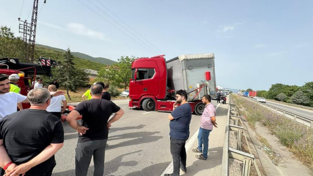 Bursa'da bir arı trafiği felç etti: Tır  sürücüsü şoka girince yol kapandı