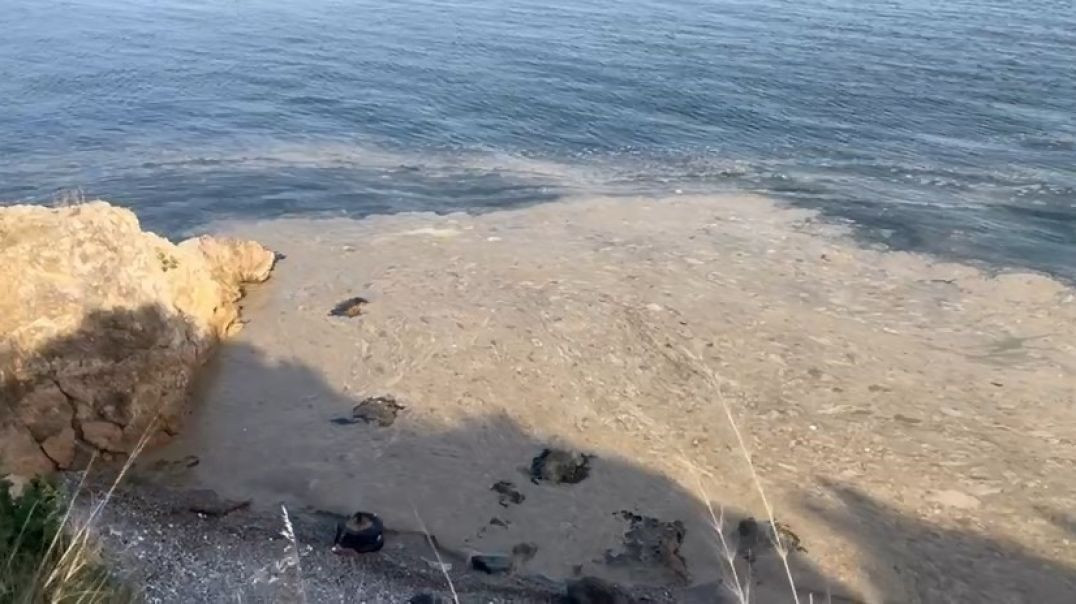 Gemlik Körfezi'nde müsilaj alarmı: 50 kilometrelik sahil denize kapatıldı