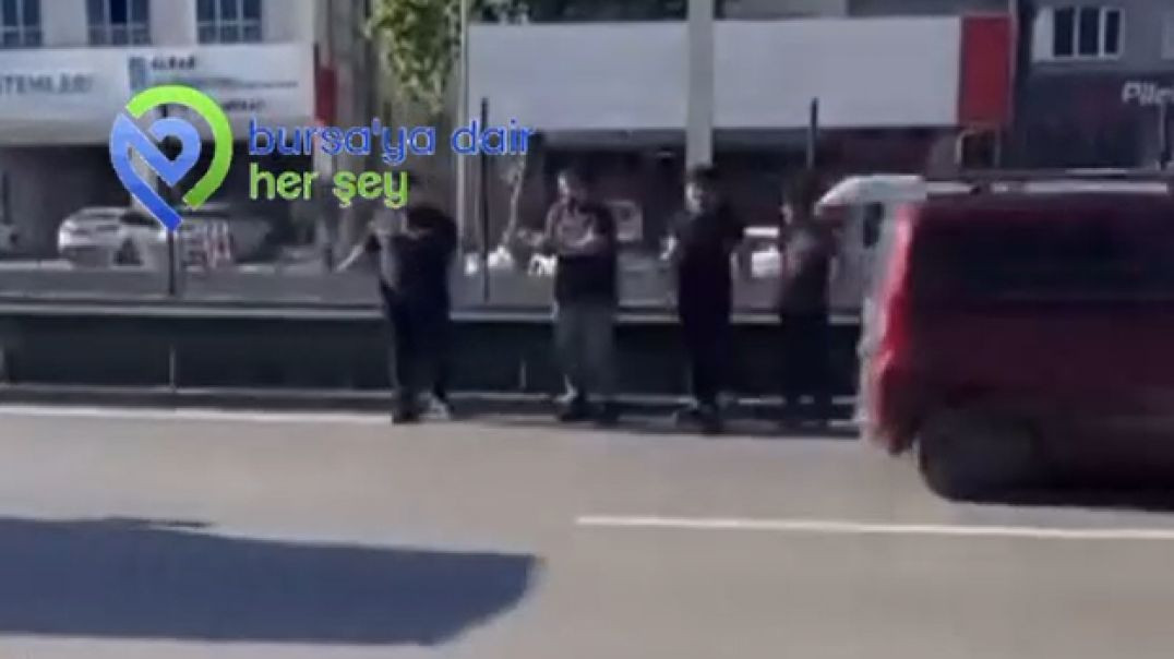 Bursa'da trafiğin ortasında mahsur kalan yavru kedinin imdadına koştular