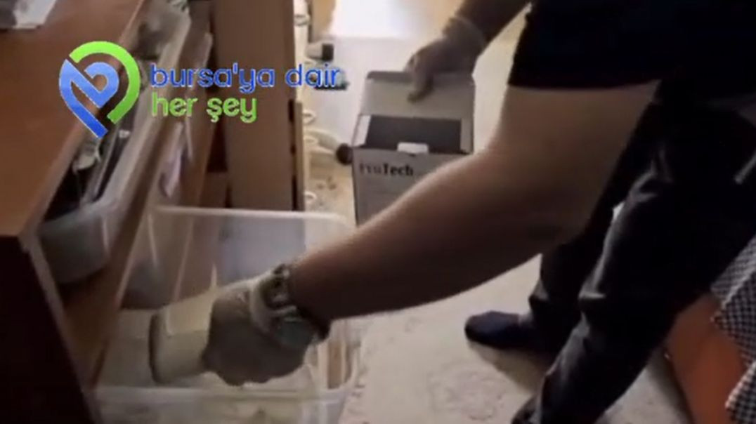 Bursa’da yasa dışı egzotik hayvanlara el konuldu: 472 bin TL ceza!
