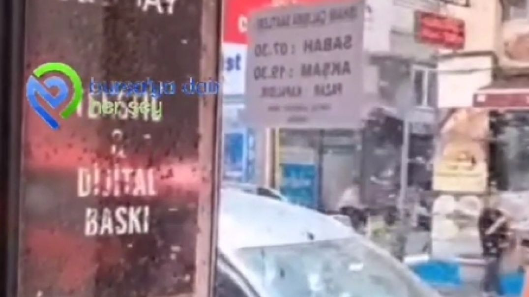 Bursa'da iş hanı arı istilasına uğradı