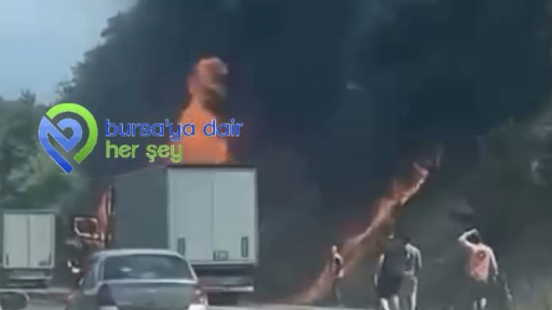 Bursa'da tır yangını ormana sıçradı!