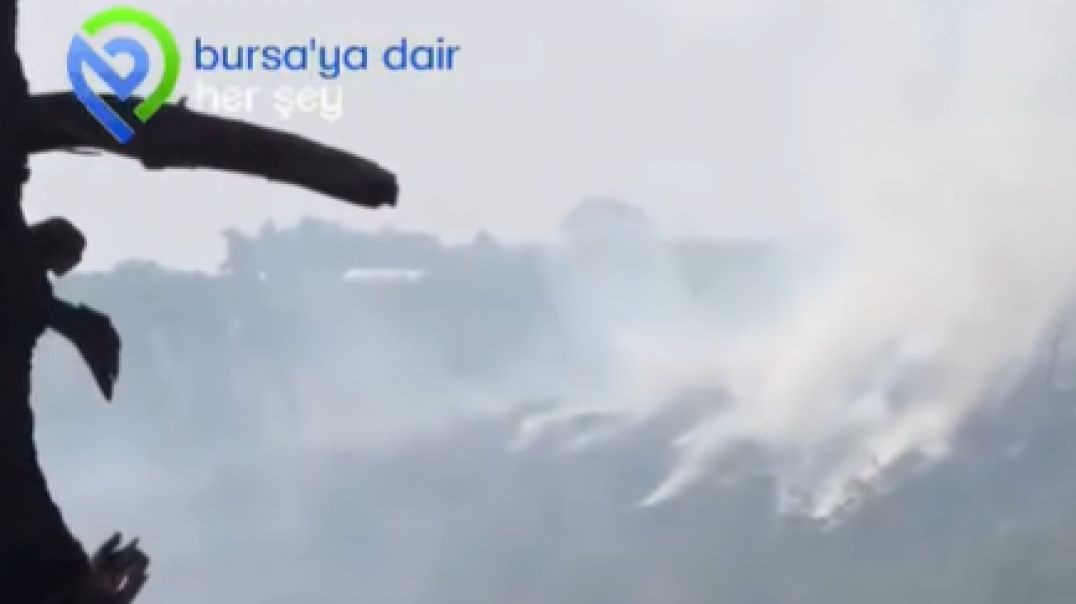 Bursa'da orman yangını: Olay yerine ekipler sevk edildi!