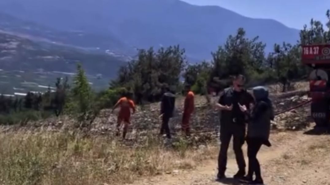 Bursa Gürsu'da çalılık alanda yangın çıktı!