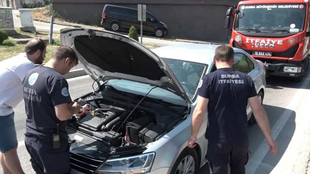 Bursa'da otomobilin altına giren minik kedi trafiği kilitledi