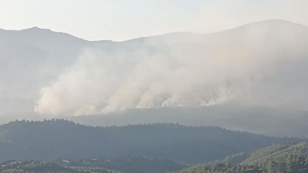 İzmir Seferihisar'da yangın devam ediyor: Havadan müdahale yeniden başladı