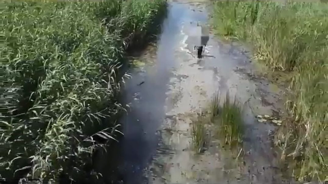 Uluabat Gölü’nde sülük toplarken kaybolan adam dron ile kurtarıldı