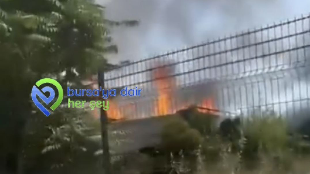 Bursa'da otluk alanda yangın paniği!