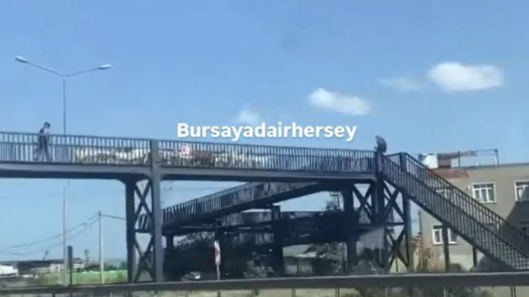Bursa'da yayaların kullanmadığı üst geçidi keçiler kullandı