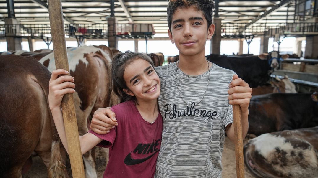 Bursa Hayvan Pazarı’na 1350 kilometre uzaktan gelen Ecrin çalışkanlığıyla dikkat çekiyor