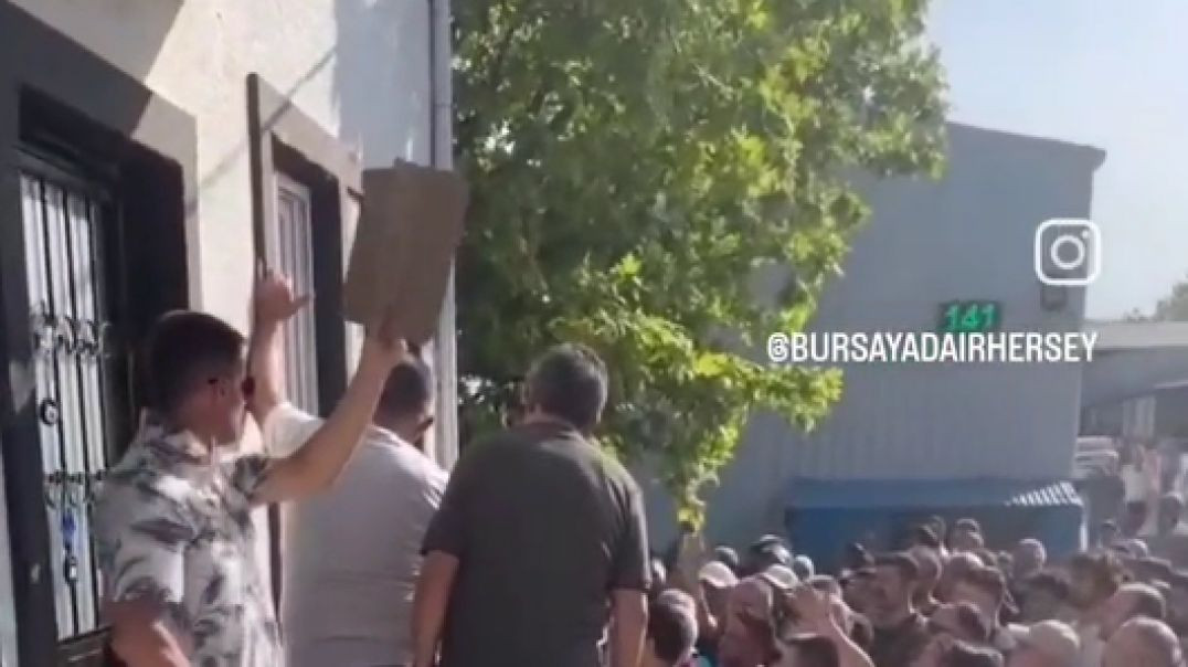Bursa'da kurbanlık hissedarlığında kriz... Birbirlerini kartonla aradılar!