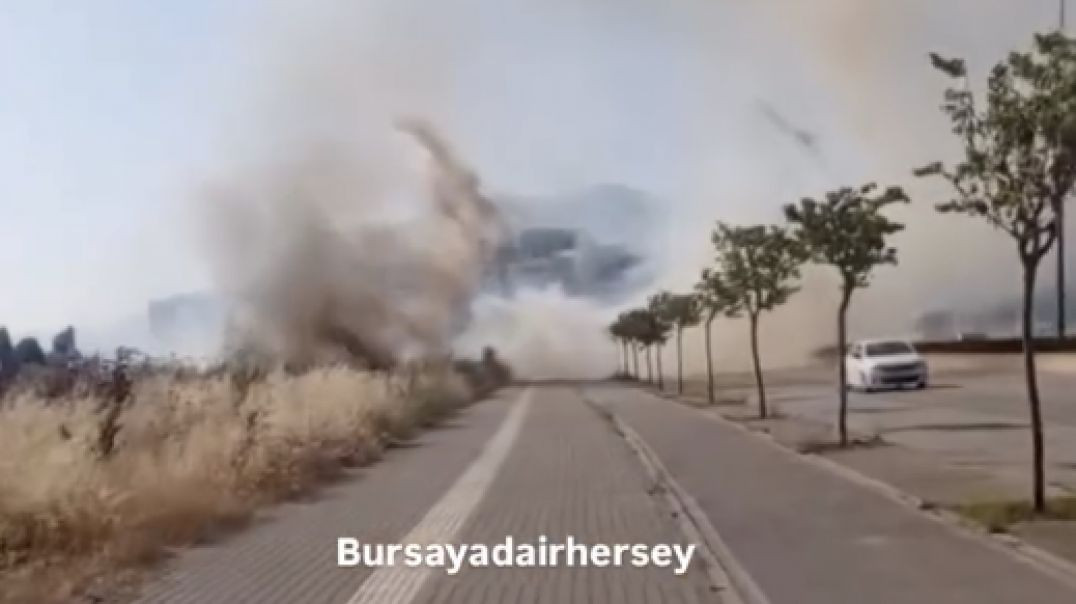 Bursa Yunuseli'de çalılık yangını: Alevler hızla yayıldı!