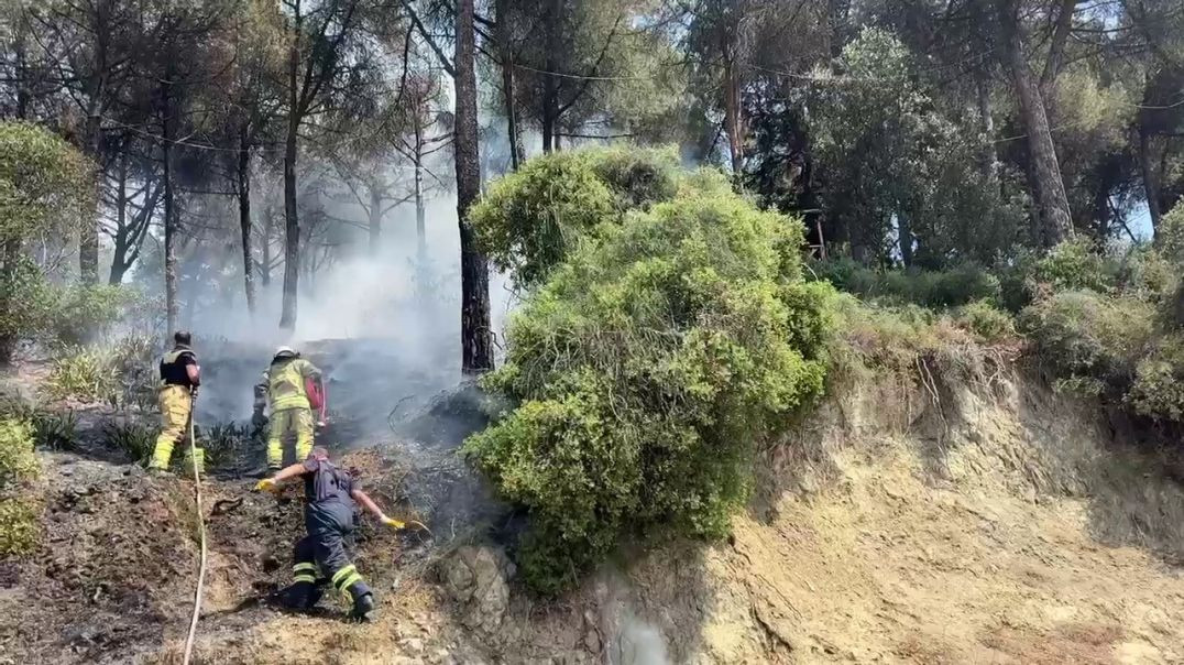 Gemlik'te çamlık alanda yangın paniği: Kısa sürede söndürüldü!