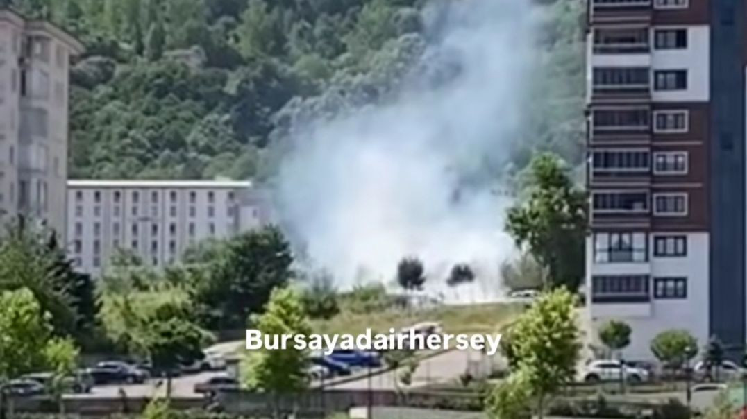 Bursa'da ağaçlık alanda yangın paniği!