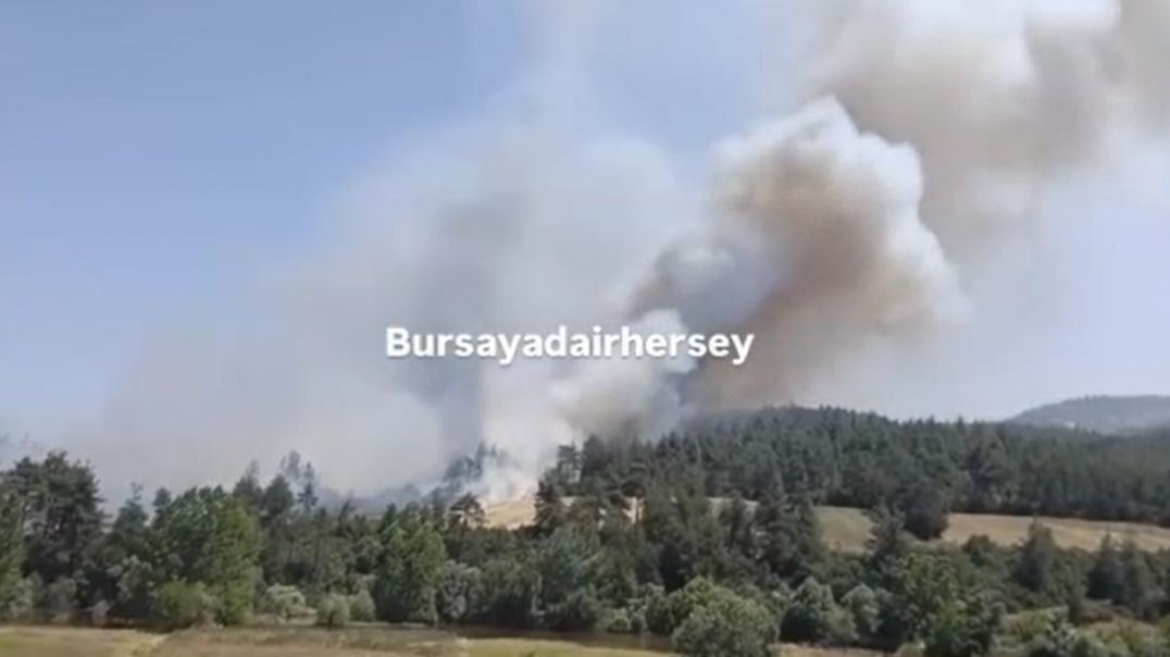Orhaneli'de orman yangını...Havadan ve karadan müdahale ediliyor!
