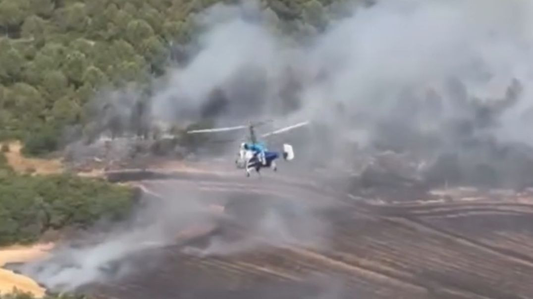 Bursa Yenişehir'de orman yangını: Helikopterlerle müdahale ediliyor!
