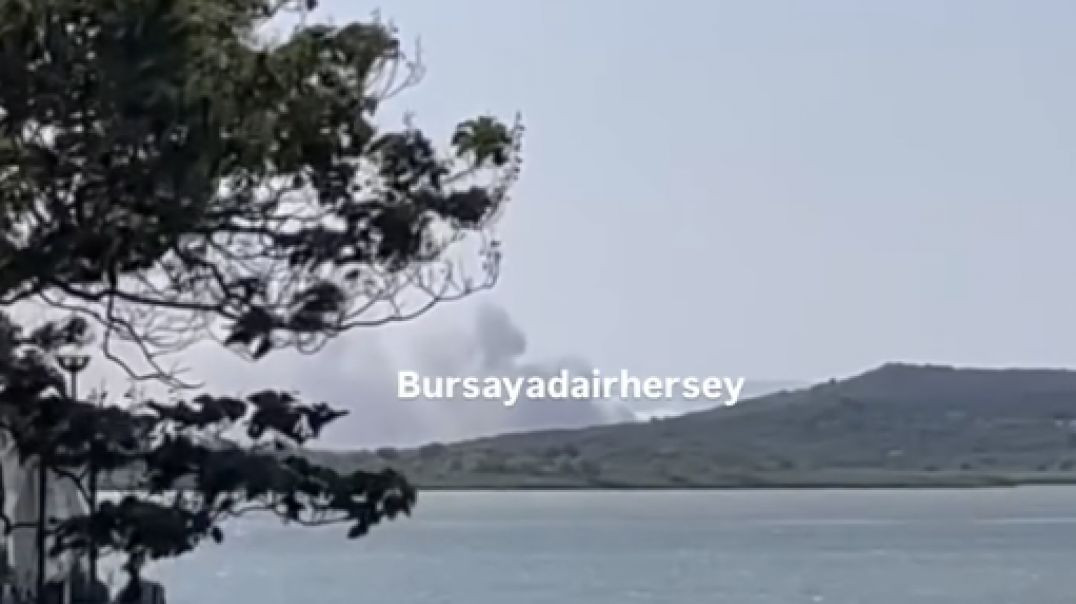 Bursa Gölyazı'da orman yangını!