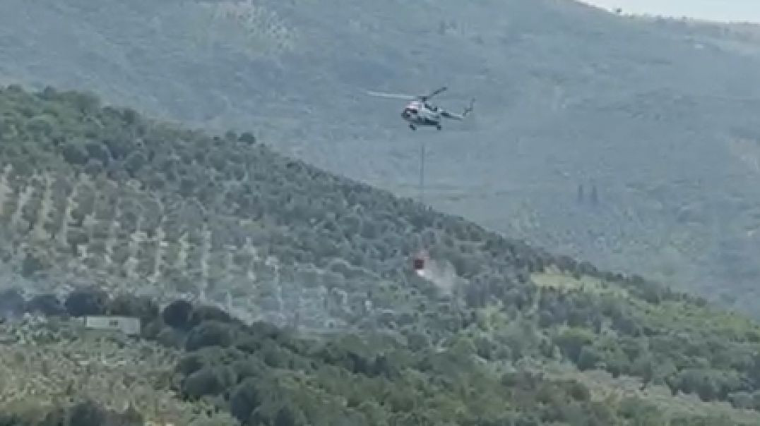 Gemlik'te orman yangın... Havadan ve karadan müdahale ediliyor!