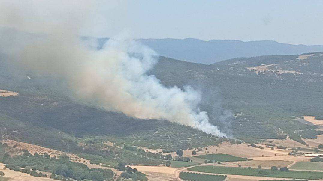 Yenişehir'deki orman yangını büyük ölçüde kontrol altında