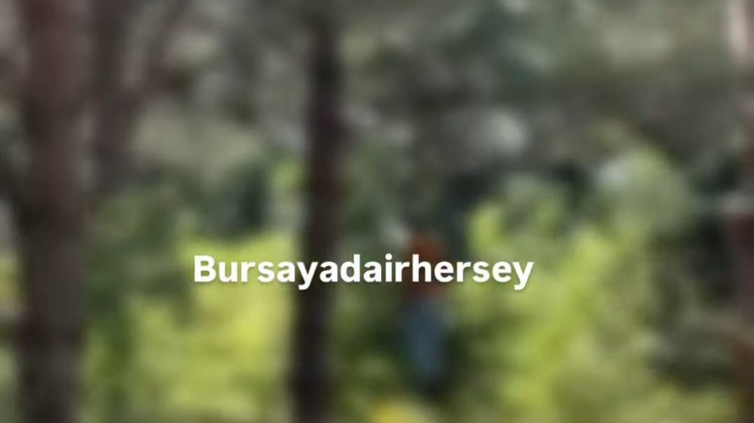 Bursa'da Cumalıkızık ormanında bir kişinin cansız bedeni ağaca asılı halde bulundu