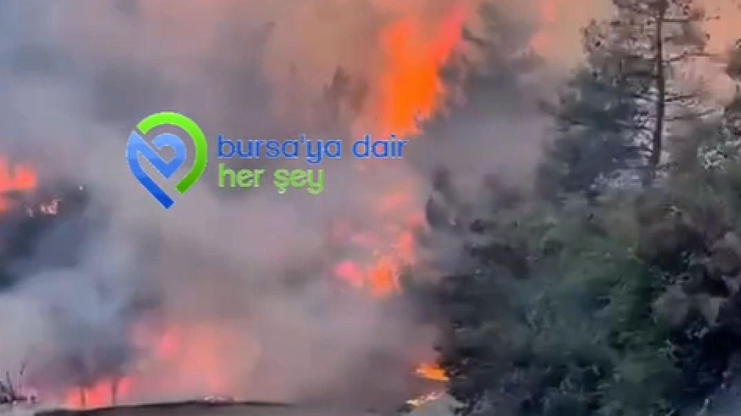 Bursa’da orman yangını büyüyor: Kestel ve Gürsu alevlere teslim oldu!