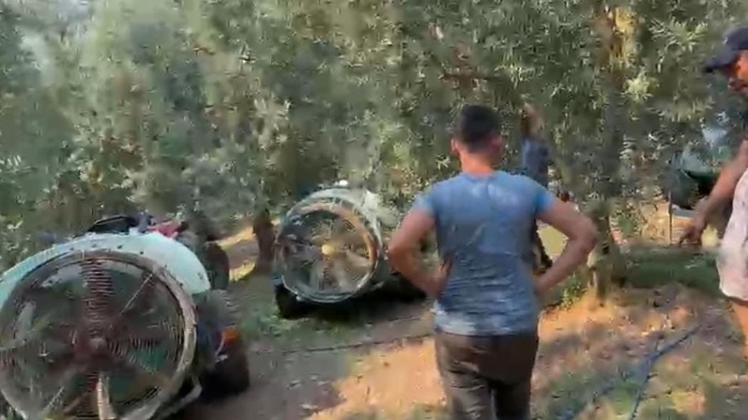 İznik’te çıkan orman yangını havadan ve karadan müdahaleyle kontrol altına alındı