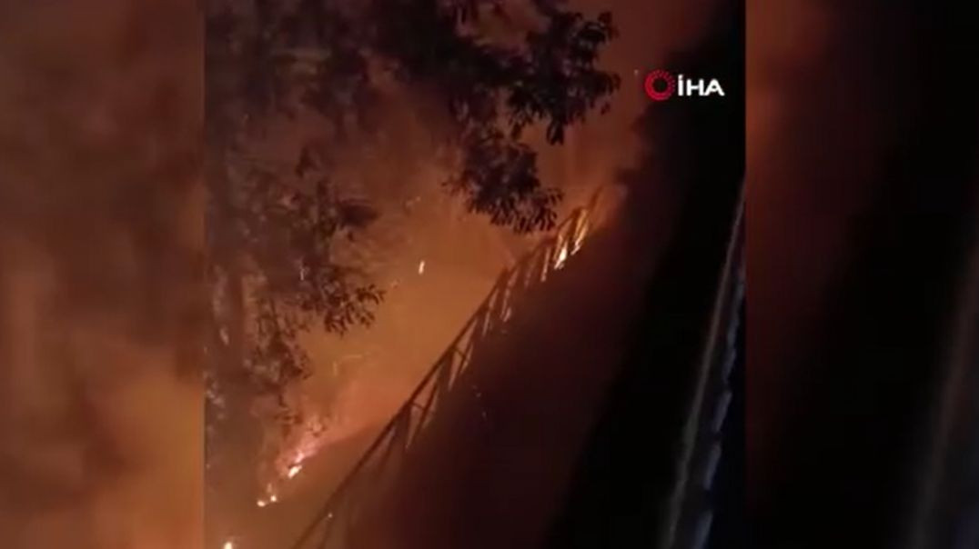 Bursa'da havai fişekle yangın çıkaranlara ders gibi ceza: 50'şer ağaç dikecekler!
