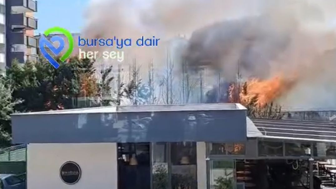 Bursa'da ağaçlık alanda yangın: Alevler evleri ve kafeyi tehdit etti!