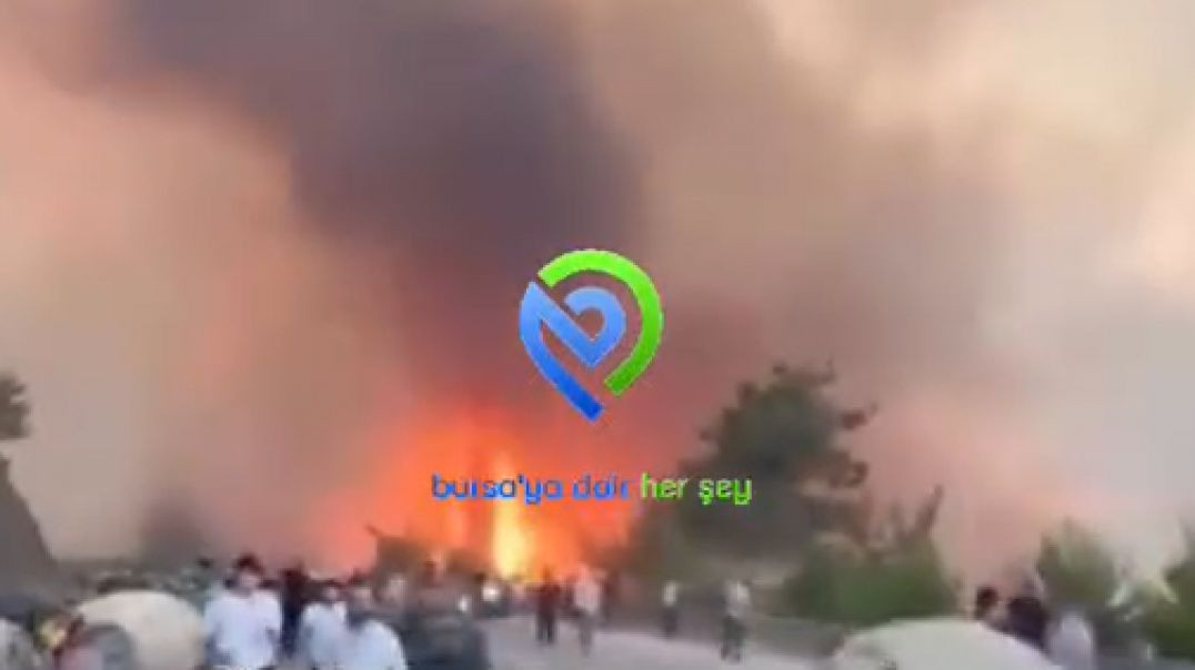 Gürsu TOKİ yolu kapandı: Yangın yola sıçradı