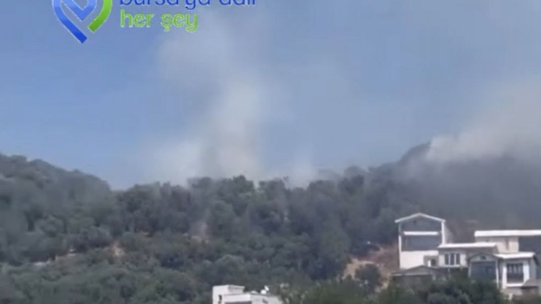 Bursa Eşkel'deki orman yangını kontrol altına alındı