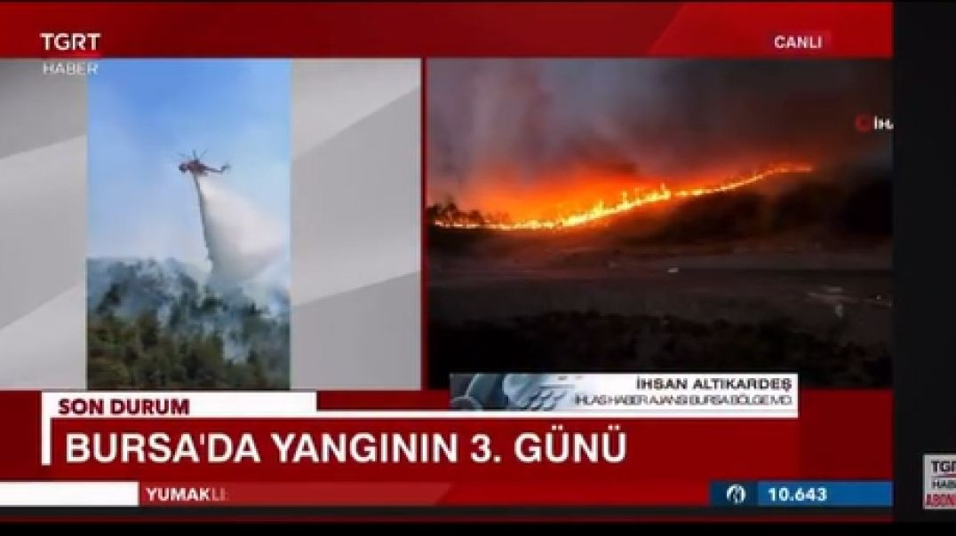 Bursa yangınında umut ve dayanışma çağrısı: “Bursa yeşildir, yeşil kalacak”