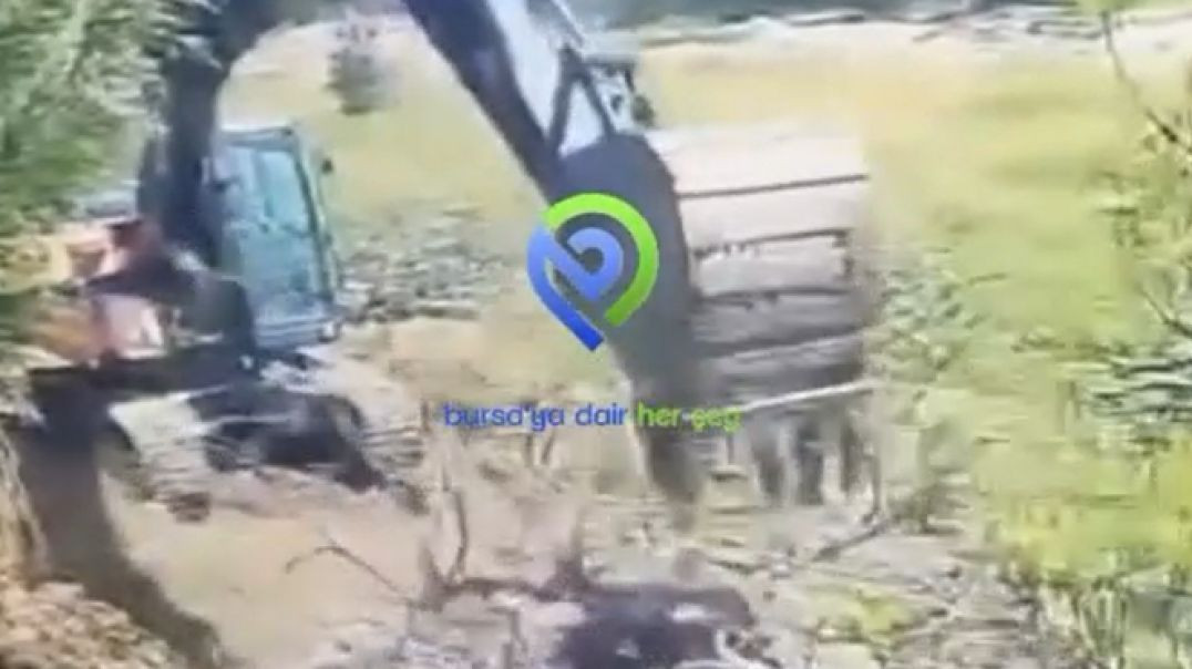 Bursa Mudanya’da imara açılan ağaçlık alan harap edildi