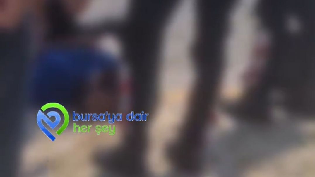 Bursa'da bir şahıs tanımadığı kadını kucağına alarak göle atmaya çalıştı