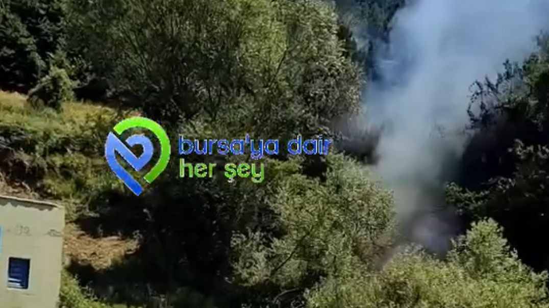 Bursa Uludağ'da orman yangını: Vatandaşlar yangın tüpleriyle koştu!
