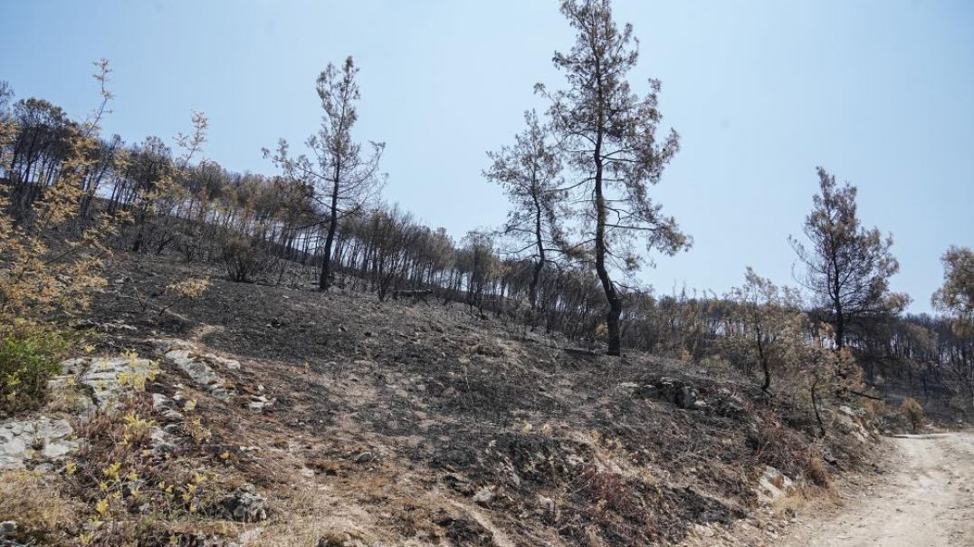 Bursa Kent Konseyi ve STK’lardan Yunuseli Havaalanı’nın yangın söndürme üssü olması çağrısı