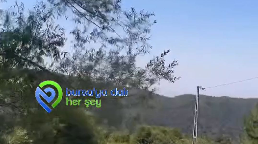 Uludağ Yiğitali'de çıkan yangın ekipler tarafından büyümeden söndürüldü