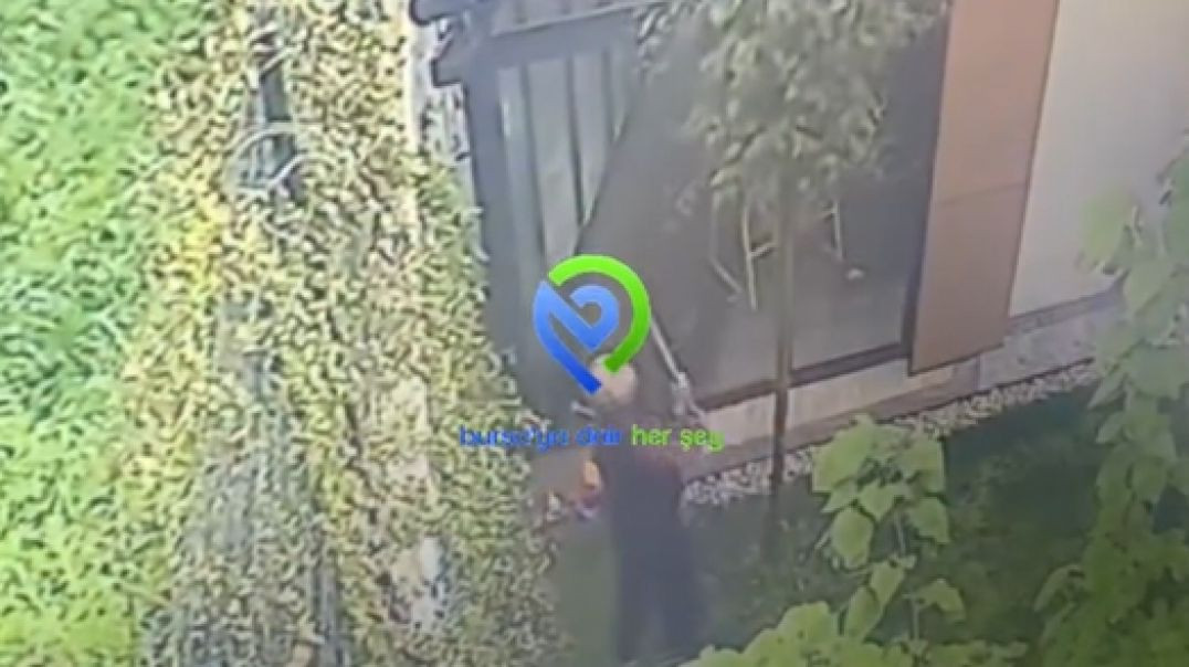 Bursa'da huysuz komşu site sakinlerine ve hayvanlara zor anlar yaşatıyor