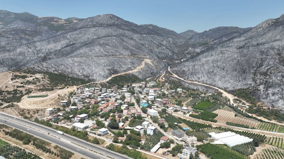 Alevlere teslim olan yeşil Bursa'dan kalanlar yürek burktu
