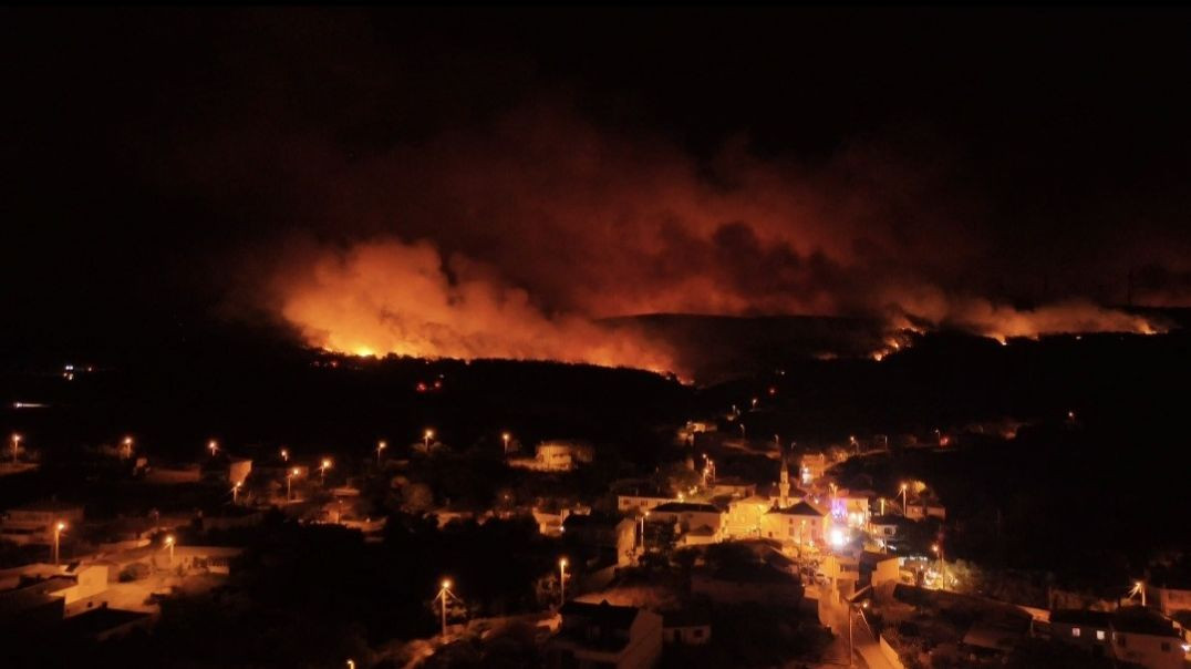 Tekirdağ Şarköy'de orman yangını sabaha kadar sürdü